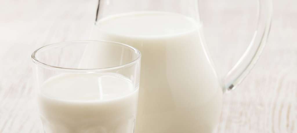 Types of Milk Explained: Whole Milk, 2 Percent, Skim and More ...